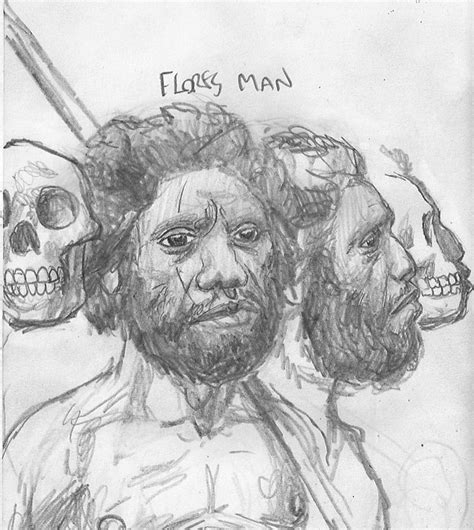 Homo Floresiensis by povorot on DeviantArt