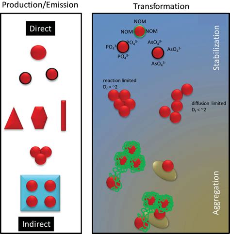 Schematic diagram showing the forms in which NMs are typically released... | Download Scientific ...