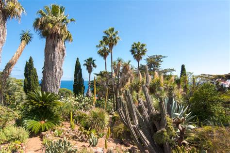 Marimurtra Botanical Garden at Blanes Near Barcelona, Spain Stock Photo - Image of fall ...