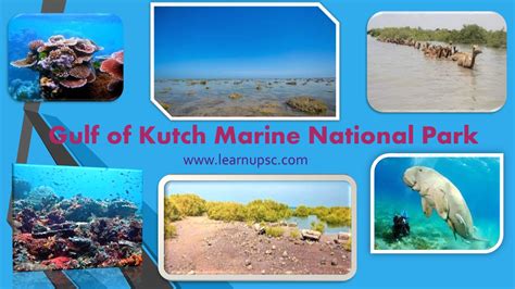 Gulf of Kutch Marine National Park - Learn UPSC