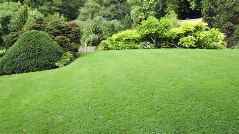 Progressive Charlestown: Improve Your Lawn - and Save Money
