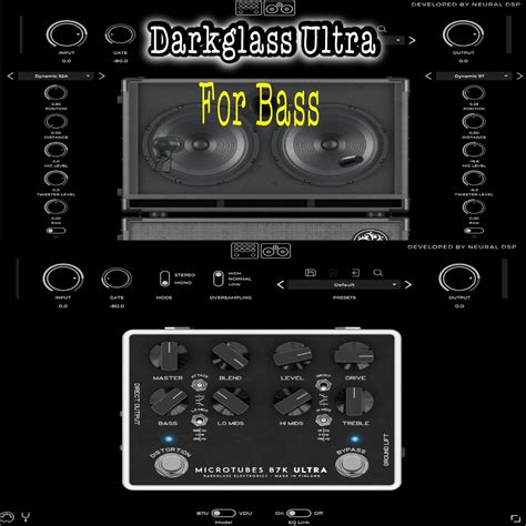 Neural DSP Darkglass Ultra BASS Guitar Effect Processing VST AAX Plugin ...