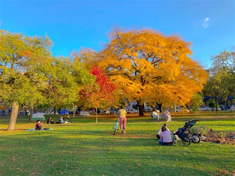 Welcome to the Friends of Trinity Bellwoods Park website - Friends of Trinity Bellwoods Park