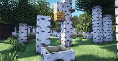 Birch forest concept from Minecraft Live 1.20.2/1.20.1/1.20/1.19.2/1.19.1/1.19/1.18/1.17.1/Forge ...