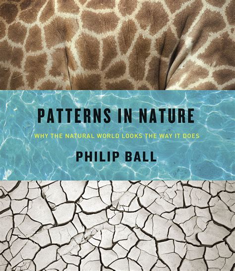 The Most Beautiful Book of 2016 is 'Patterns in Nature'