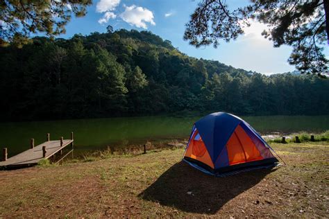 camping in Pine forest 4279625 Stock Photo at Vecteezy