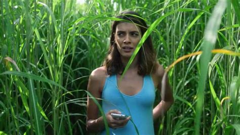 Genuine Horror Is Beyond Reach | In The Tall Grass Film Review - HeadStuff