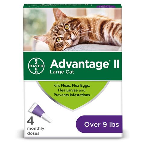 Advantage II Flea Treatment for Large Cats, 4 Monthly Treatments - Walmart.com