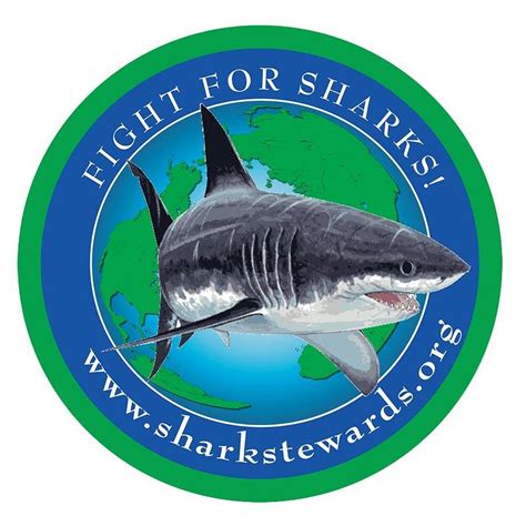 The Top 5 Shark Conservation Groups • Scuba Diver Life