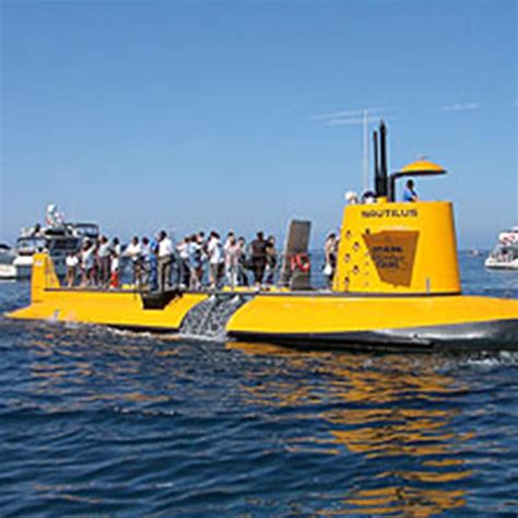 Catalina Island Activities and Adventure - Things To Do In Catalina Island