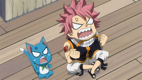 Angry Natsu and Happy - Fairy Tail Photo (32675621) - Fanpop