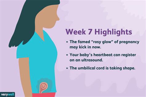 At How Many Weeks Does A Baby Have A Heartbeat | Examples and Forms