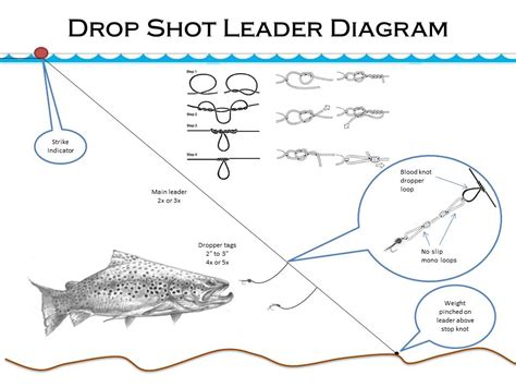 Drop Shot Leader Dia1 - Fishtales Outfitting