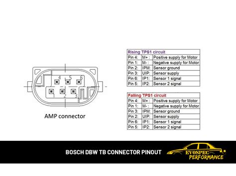 Filastrocche spaventare puramente bosch throttle body pinout oasi ...