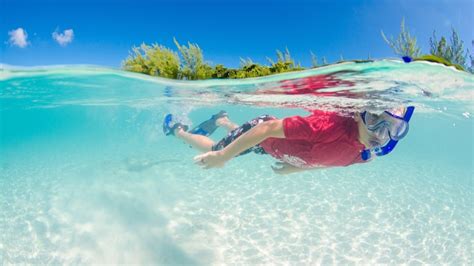 Top 20 Snorkelling Spots in Grand Cayman | Cayman Resident