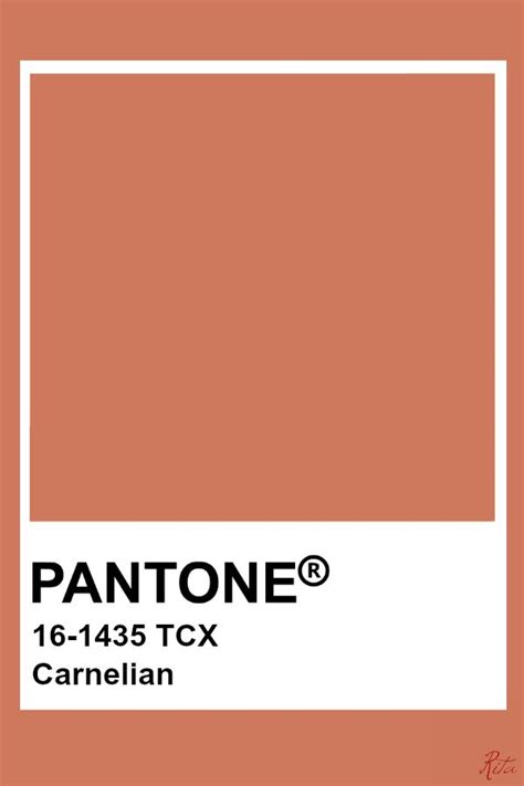 Pantone Carnelian | Kleurenpalet, Pantone, Huis interieur