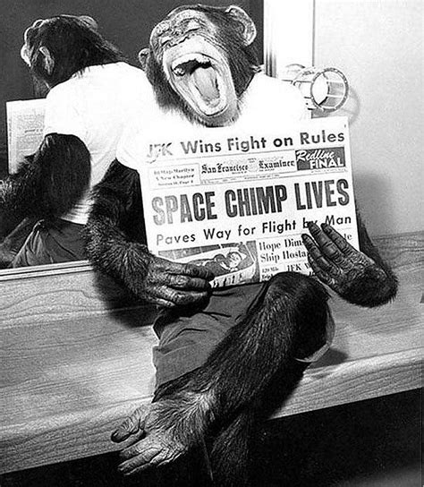 Planet of the Apes: US Missions that Sent Primates Into Space