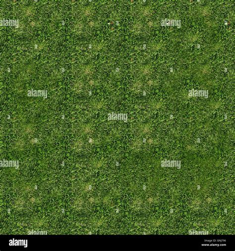 3d illustration of seamless grass texture Stock Photo - Alamy