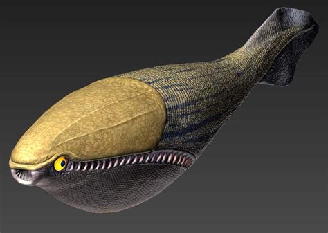 Arandaspis was a genus of Ordovician jawless fish, the first known vertebrates. | Prehistoric ...