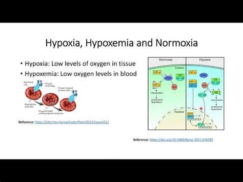 Low Oxygen levels: Hypoxia, Hypoxemia and Normoxia #Code: 156 - YouTube