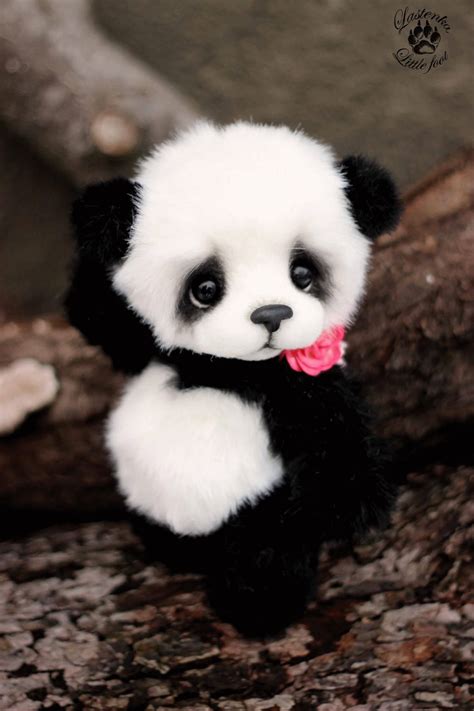 Cutest Animals | Cute stuffed animals, Cute baby animals, Cute baby dogs