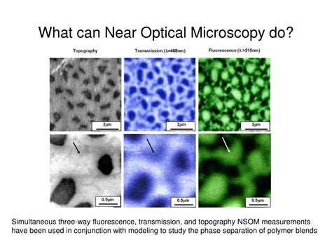 PPT - Near-field Scanning Optical Microscopy (NSOM) PowerPoint ...