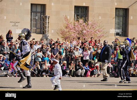 Ballou High School marching band in Cherry Blossom Parade 2014 in Washington DC Stock Photo - Alamy