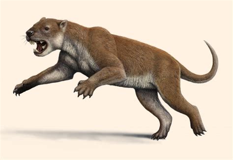 Marsupial Lion Thylacoleo carnifex Had Unique Hunting Style, Paleontologists Say | Sci.News