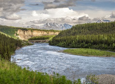 Denali Princess Wilderness Lodge | National Park Reservations