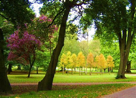 Bute Park in Cardiff, Wales...beautiful place for nice long walks ...