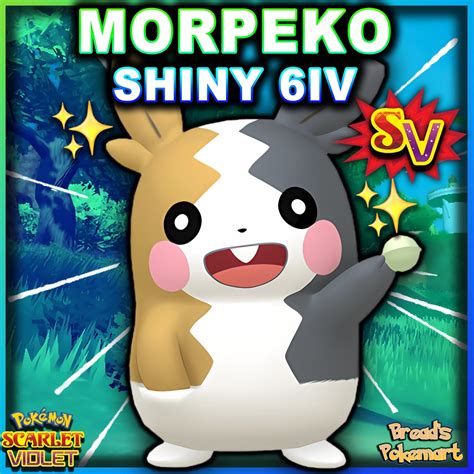 MORPEKO Shiny 6IV / Pokemon Scarlet and Violet / Lv100 EV - Etsy