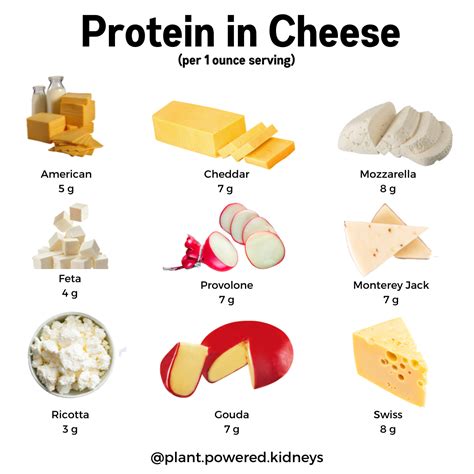 How Much Protein In Cream Cheese at Lonnie Hammond blog