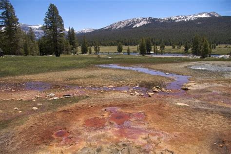 12 Best Short & Easy Hikes in Yosemite National Park