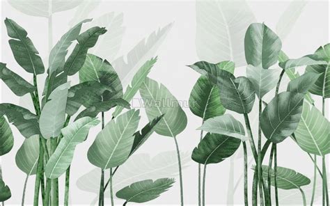 Fresh Green Tropical Leaf Wallpaper Mural | Carta da parati, Floreale ...