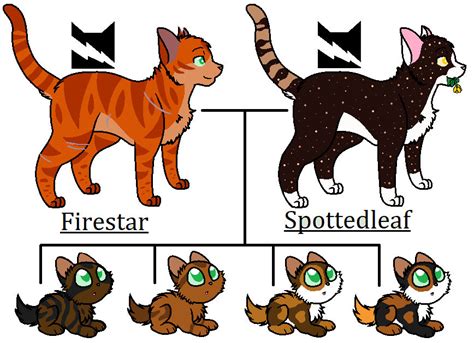 Firestar and Spottedleaf's kits by Warrior-SpaceRanger on DeviantArt