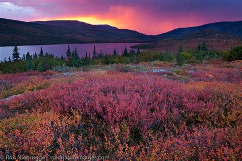 Wonder Lake | Denali National Park, Alaska. | Photos by Ron Niebrugge