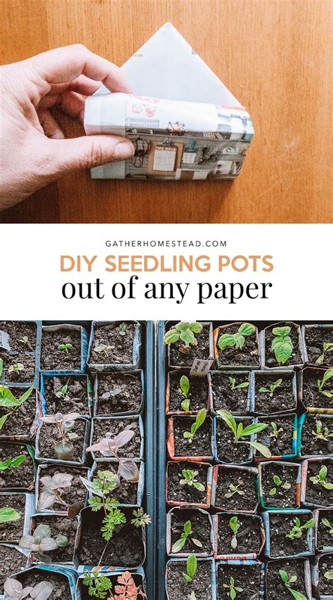 DIY Seedling Pots From Magazines and Catalogs — Gather Homestead