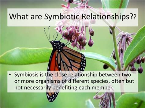 PPT - Symbiotic Relationships PowerPoint Presentation, free download ...