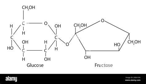 Estructura De La Sacarosa