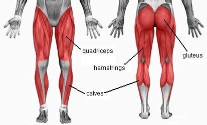 Running Injuries: Which Muscles Should Runners Strengthen?