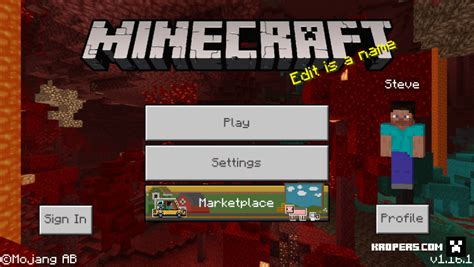 Download Minecraft PE 1.16.10 for iOS Free