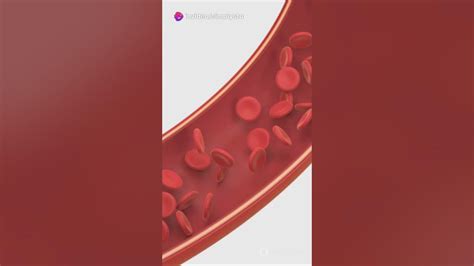 Blood clotting animation #animation #biology #shorts #youtubeshorts ...