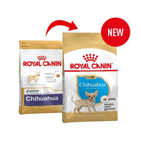 Royal Canin Chihuahua Puppy | Chihuahua | Order