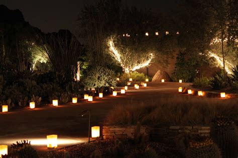 The Turning of Generations: Wordless Wednesday - Desert Botanical Garden's Luminarias