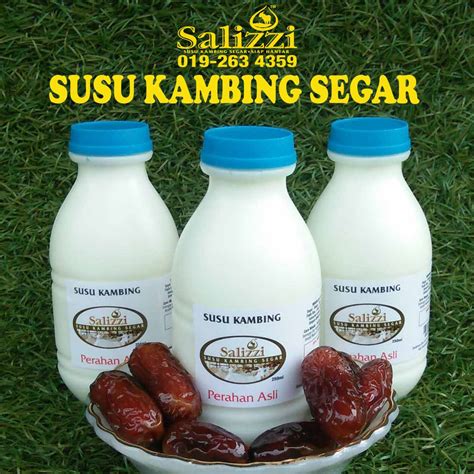 Susu Segar Kambing Aqiqah Khasiat Susu Kambing | My XXX Hot Girl