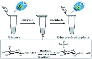 One-step detection of hexokinase activity using a personal glucose ...