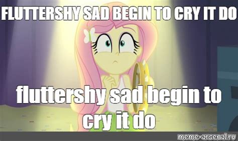 Meme: "FLUTTERSHY SAD BEGIN TO CRY IT DO fluttershy sad begin to cry it ...