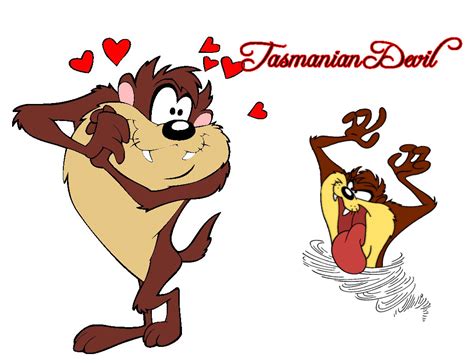 Looney Tunes Tasmanian Devil Character Wallpaper