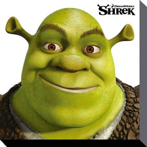 Shrek Face Template - Printable And Enjoyable Learning