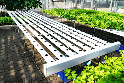 NFT Hydroponic System Explained – Proponics